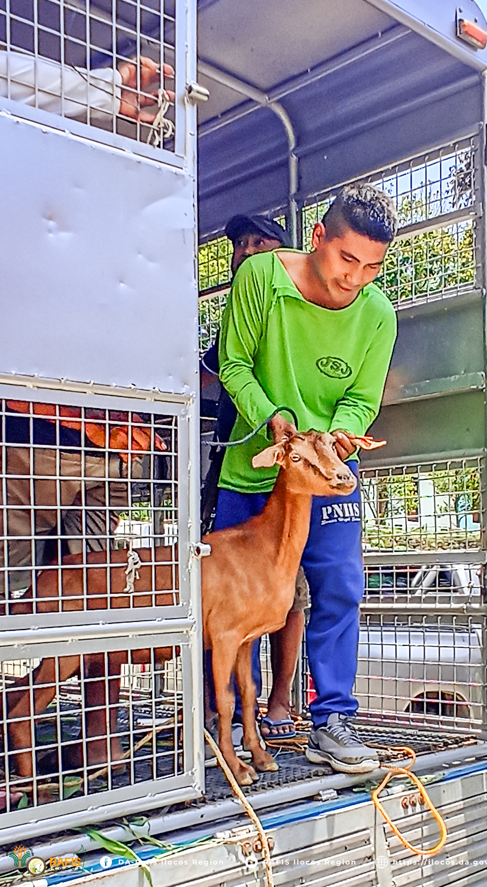 DA-NUPAP distributes upgraded goats to eight FCAs in Pangasinan