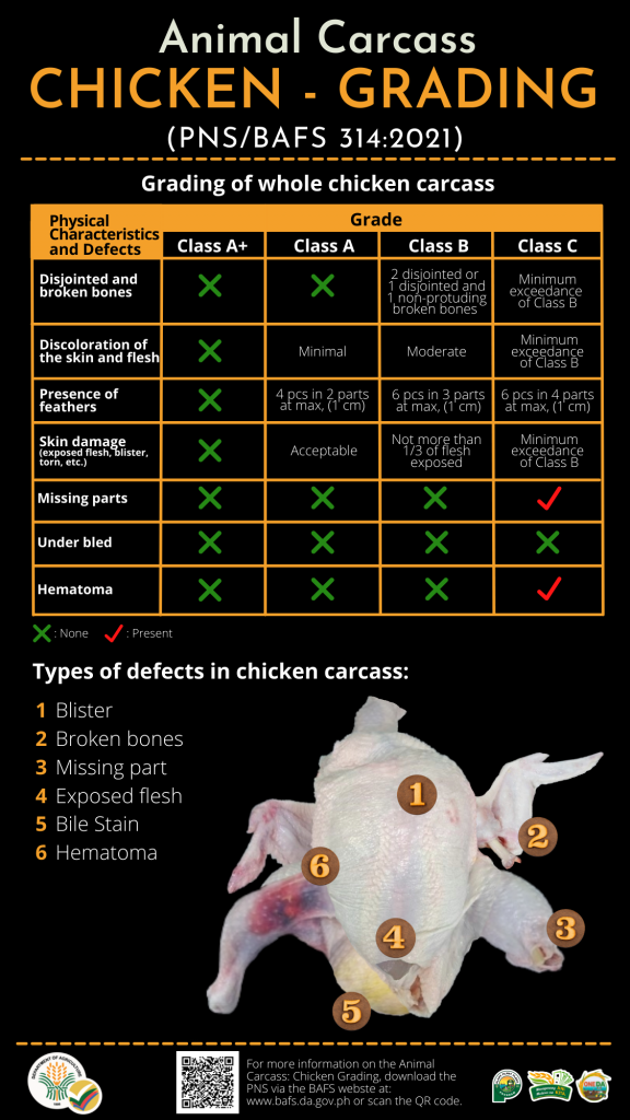 Animal carcass - Chicken - Grading